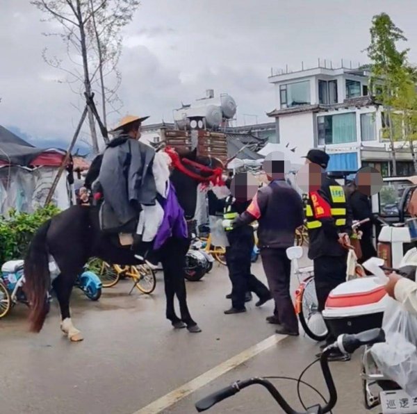 倍顺网 古装男子骑马硬闯大理洱海生态廊道，与保安起冲突，当地：禁止外来车辆和马匹入内，已处理完